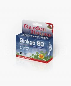 GINKGO BILOBA 80 x 30 COMP GARDEN HOUSE