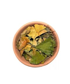 GINKGO BILOBA IMPORTADO PACK 10u x 25g