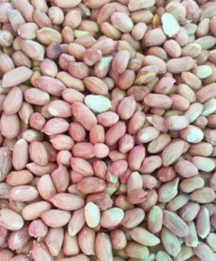 MANI CRUDO RUNNER 10U x 400g