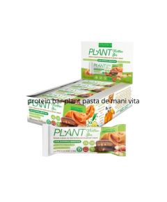 PROTEIN BAR PLANT PASTA DE MANIx12unVITA